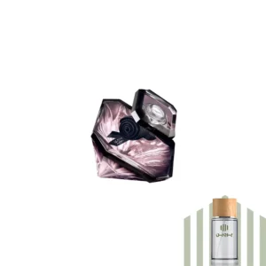 عطر گرمی لانویت رز
